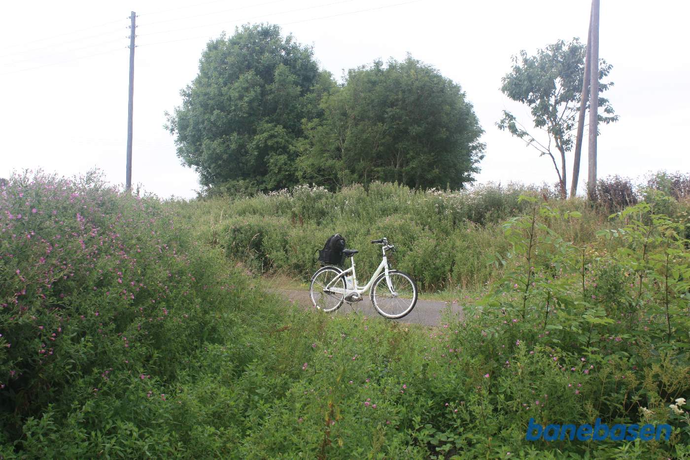 Her krydsede banen Savmøllevej og fortsatte ind mellem træerne. Vi kigger i retning mod Aakirkeby