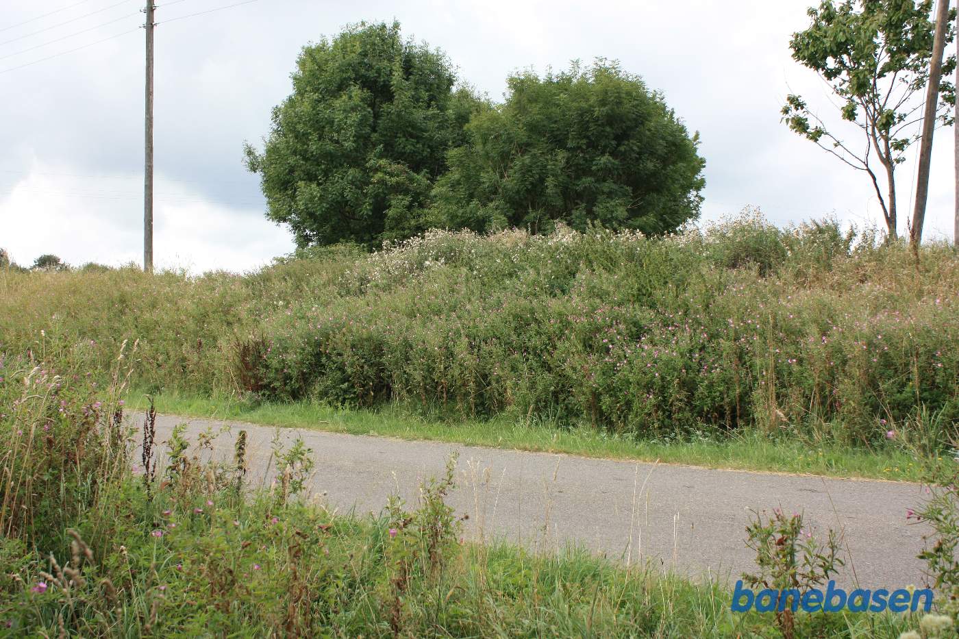 Her krydsede banen Savmøllevej og fortsatte ind mellem træerne. Vi kigger i retning mod Aakirkeby