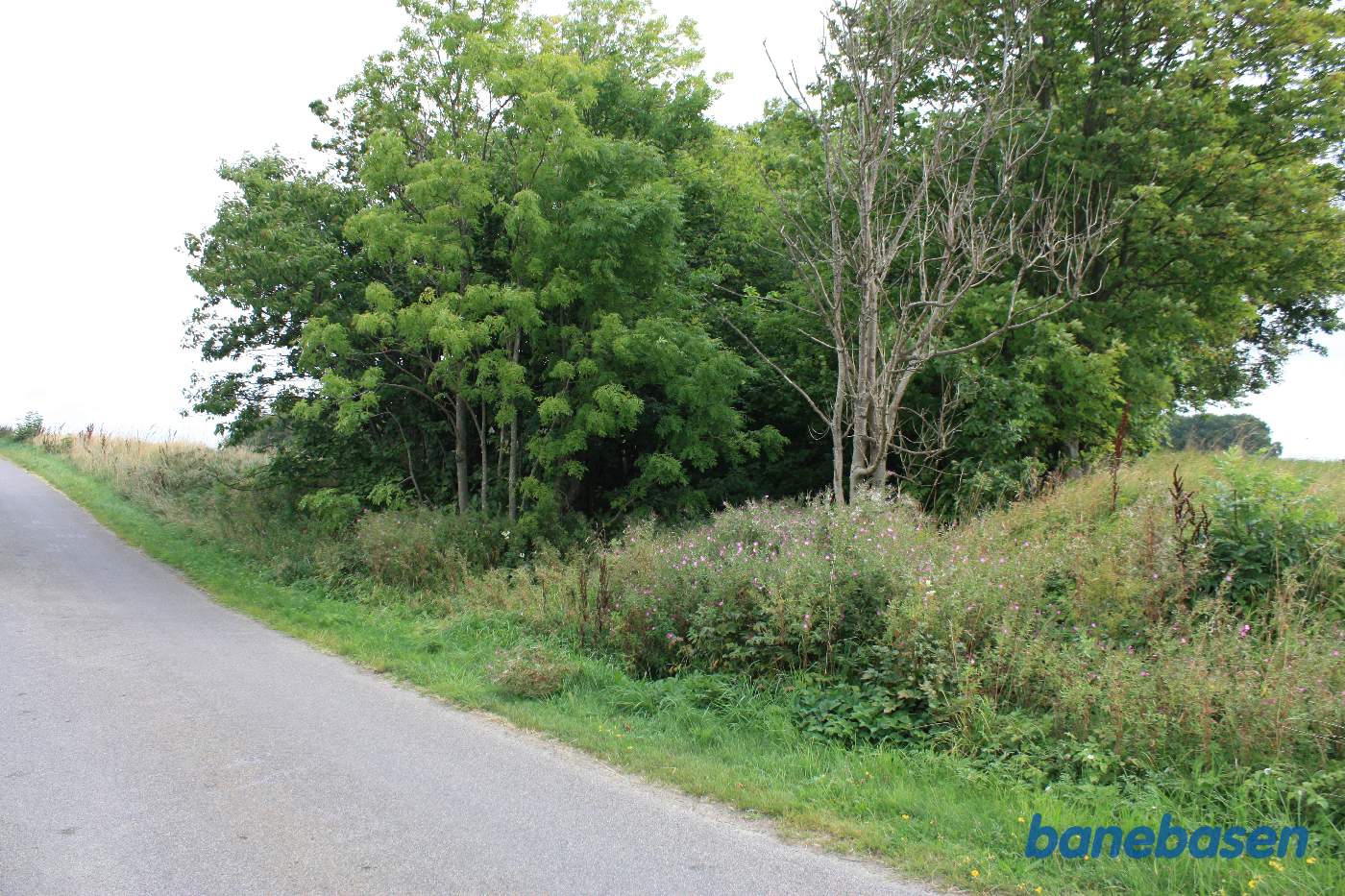 Her krydsede banen Savmøllevej og fortsatte ind mellem træerne. Vi kigger i retning mod Gudhjem Her krydsede banen Savmøllevej og fortsatte ind mellem træerne. Vi kigger i retning mod Gudhjem