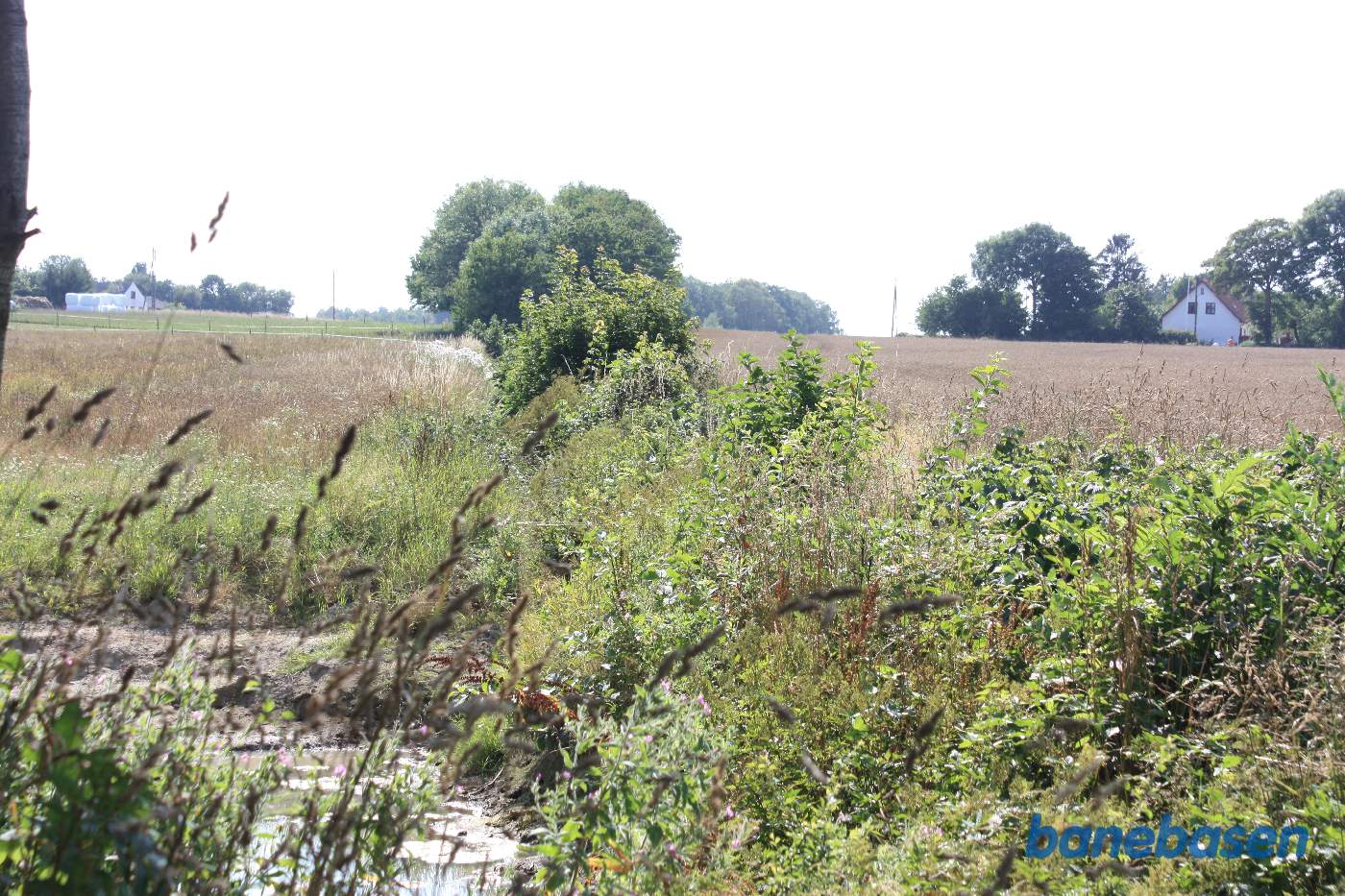 Banen løb her i markskellet, vi ser mod Aakirkeby Banen løb her i markskellet, vi ser mod Aakirkeby