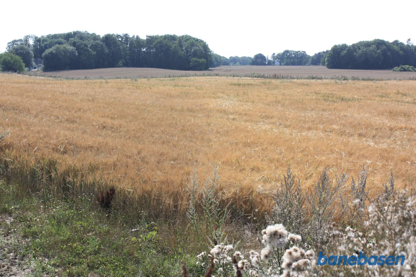 Vi står ude bag gården Fredensly og kigger mod Aakirkeby. Der er ikke meget tilbage af banens tracé (forhøjningen midt i billedet), men toget kørte midt i billedet i en meget stor blød venstrekurve Vi står ude bag gården Fredensly og kigger mod Aakirkeby. Der er ikke meget tilbage af banens tracé (forhøjningen midt i billedet), men toget kørte midt i billedet i en meget stor blød venstrekurve