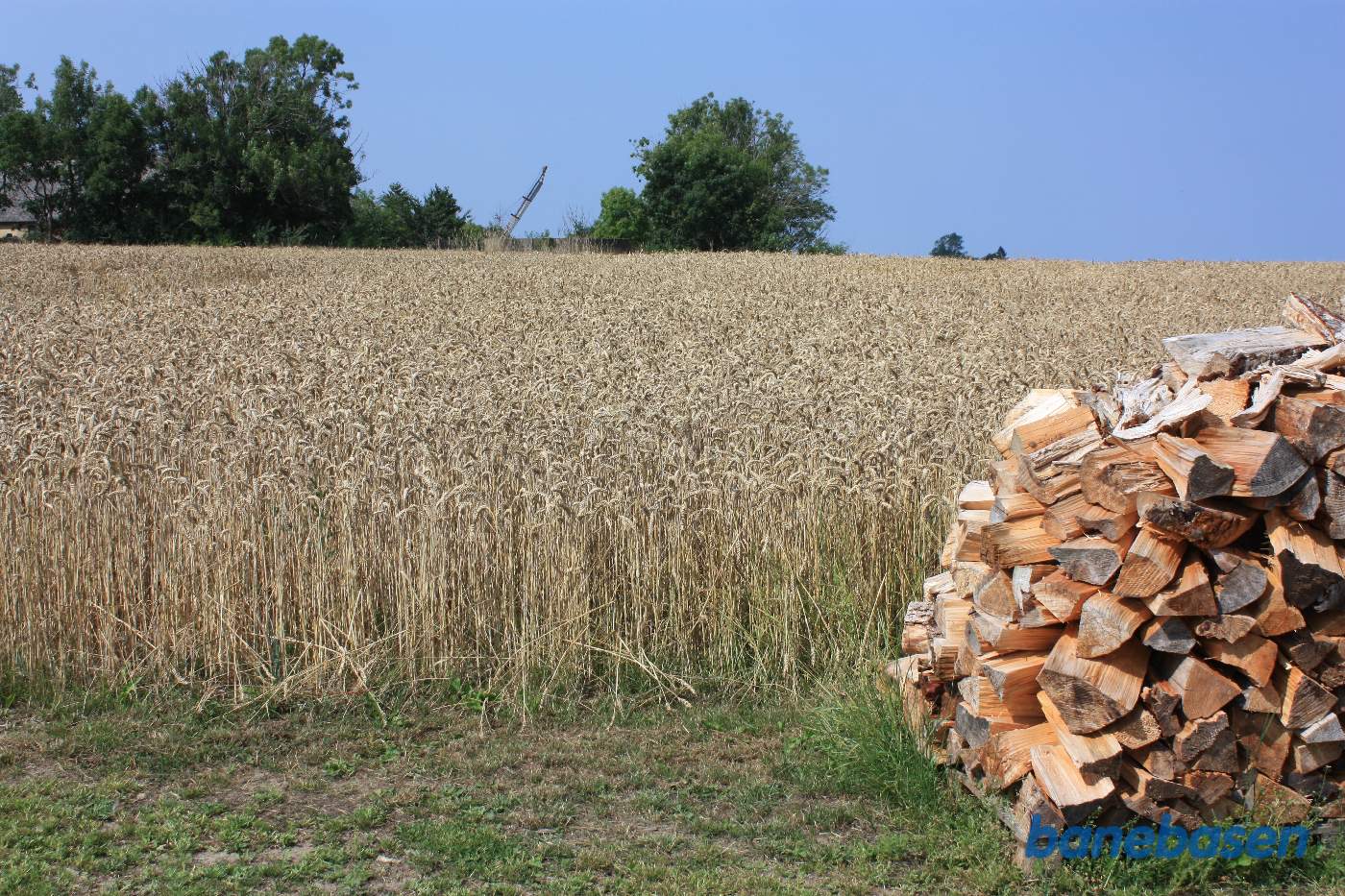 Vi står i markskellet og kigger ud over marken, hvor banen gik, lige hvor trærækken midt i billedet er. Vi ser i retning mod Gudhjem