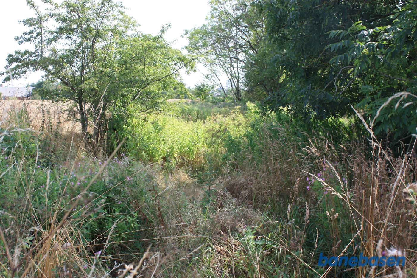 Vi står på en markvej bag Bakkegården og kigger mod Aakirkeby. Man fornemmer lidt af udgravningen. Bakkegården ligger inde til højre
