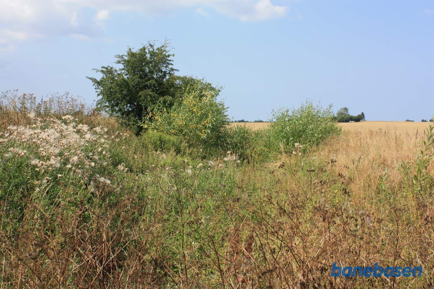 Vi står på en markvej bag Bakkegården og kigger mod Gudhjem. Man fornemmer lidt af udgravningen Vi står på en markvej bag Bakkegården og kigger mod Gudhjem. Man fornemmer lidt af udgravningen