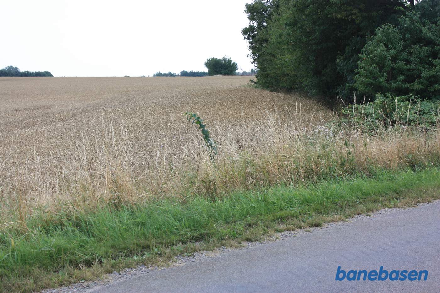 Vi står på Saltunavej og kigger mod Aakirkeby. Banen løb lange trærækken over mod de træer, vi ser midt i billedet, hvor Bakkegården ligger Vi står på Saltunavej og kigger mod Aakirkeby. Banen løb lange trærækken over mod de træer, vi ser midt i billedet, hvor Bakkegården ligger
