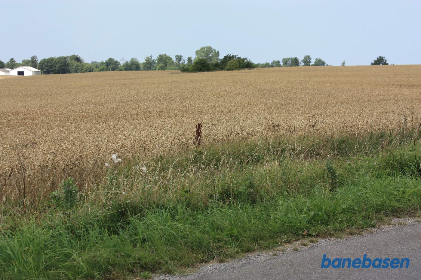 Vi står på Saltunavej og kigger mod Gudhjem. Banen løb over mod de træer, vi ser midt i billedet