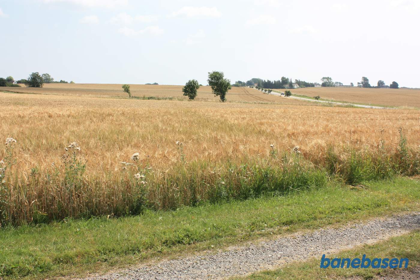 Vi står på jordvejen op til gården og kigger mod Aakirkeby. Banen løb næsten parallelt med Nybrovej til højre