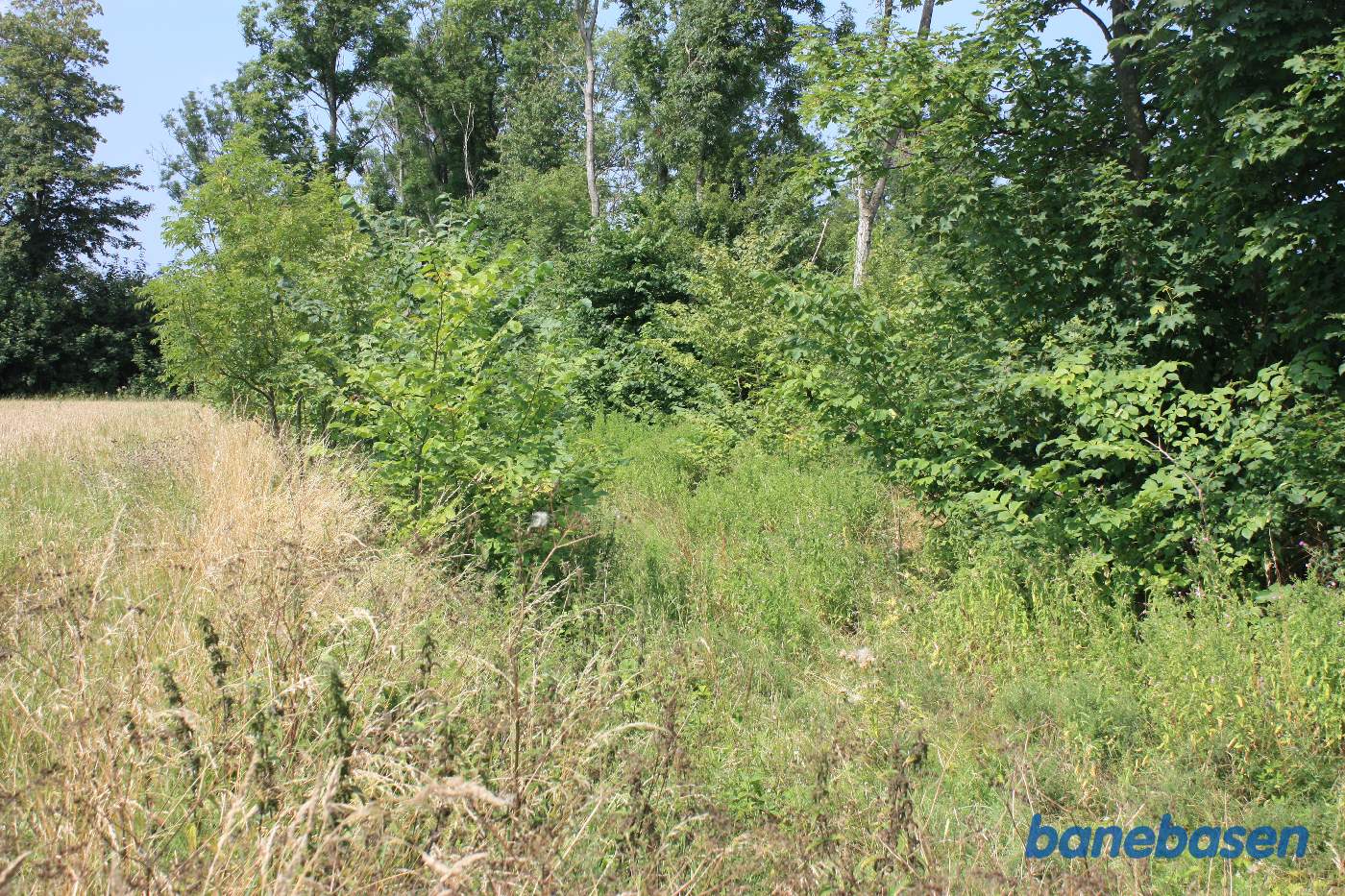 Vi står ved jordvejen op til gården og kigger mod Gudhjem. Der er stadig raster af tracéen inde mellem buskene