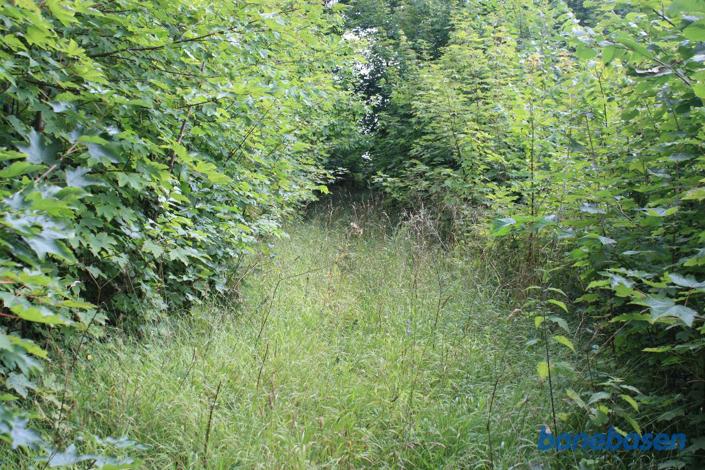 Vi står ved Kjeldse å og kigger mod Aakirkeby