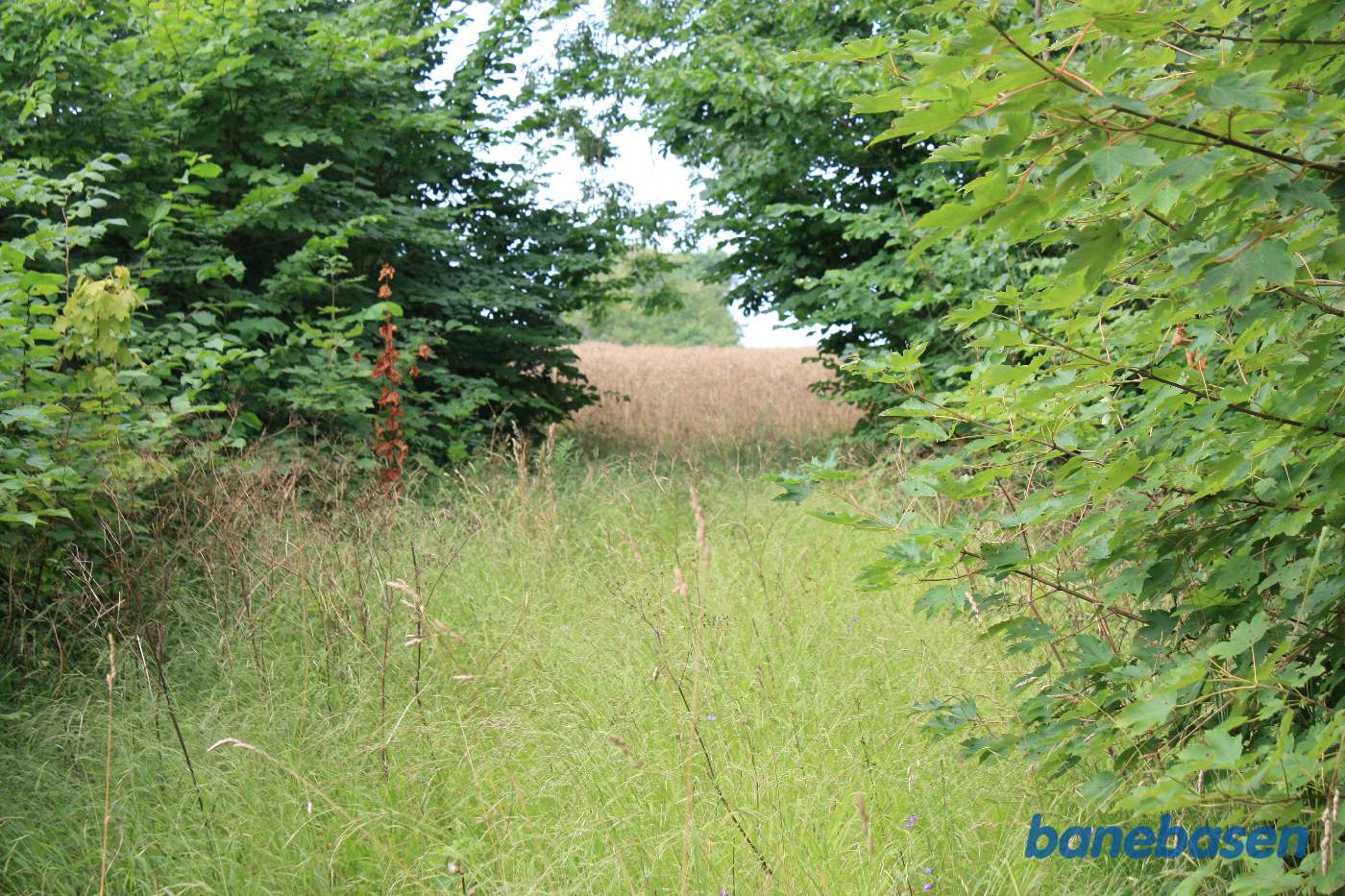 Vi står ved Kjeldse å og kigger mod Gudhjem Vi står ved Kjeldse å og kigger mod Gudhjem