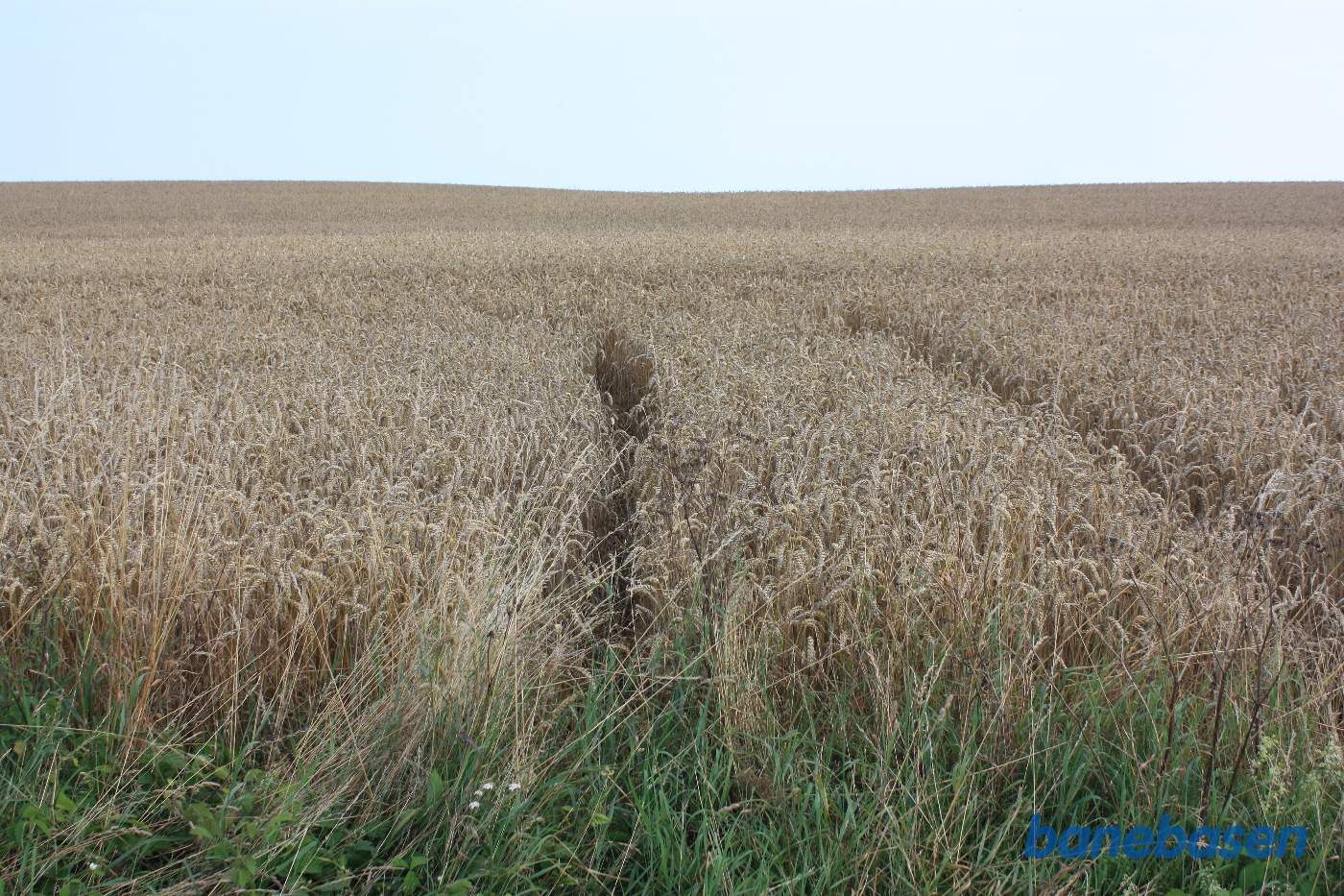 Vi står på Højagervej og kigger mod Aakirkeby. Banen slog en skarp højre kurve ud over marken. Udgravningen er efterfølgende fyldt op Vi står på Højagervej og kigger mod Aakirkeby. Banen slog en skarp højre kurve ud over marken. Udgravningen er efterfølgende fyldt op