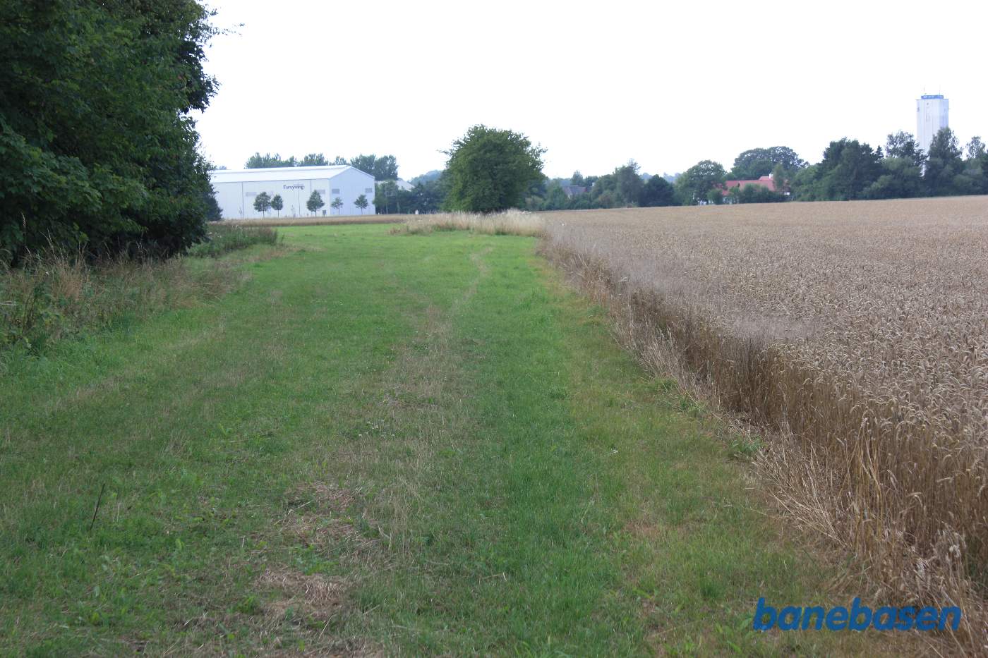 Vi står på banetracéen og kigger mod Gudhjem. Banen fulgte marken til højre og gik ind gennem trærækken lige fremme. Østerlars ligger længere fremme til højre