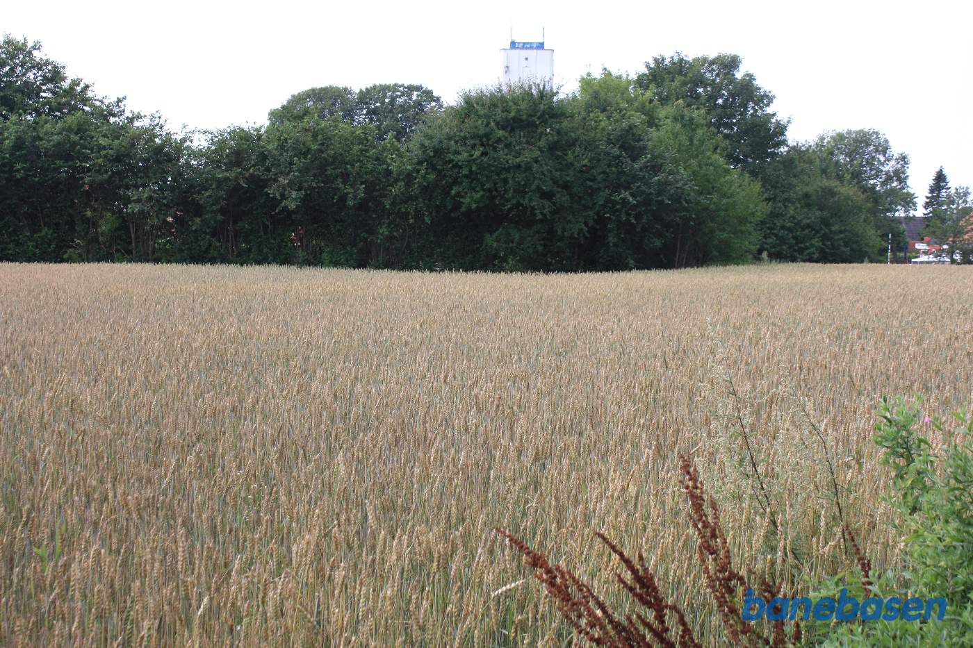 Vi står på en jordvej op til en gård og kigger i retning mod Gudhjem. Banen gik over marken og ind gennem træerne. Det røde man kan se gennem træerne er Østerlars station