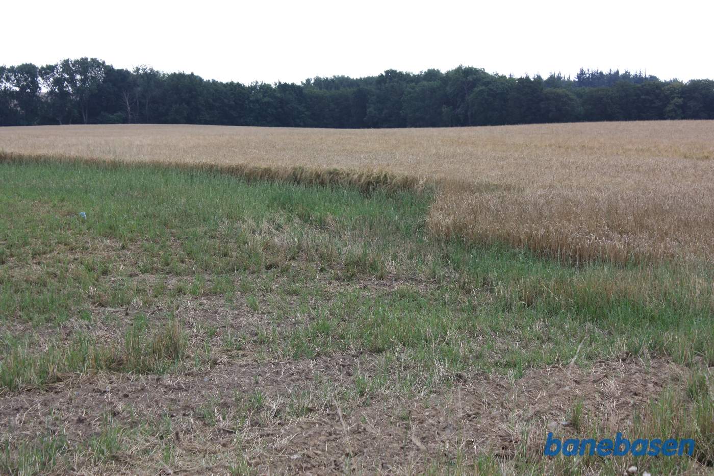Vi står på Kobbevej og kigger mod Aakirkeby. Banen gik i en blød højre kurve over imod træerne midt i billedet Vi står på Kobbevej og kigger mod Aakirkeby. Banen gik i en blød højre kurve over imod træerne midt i billedet