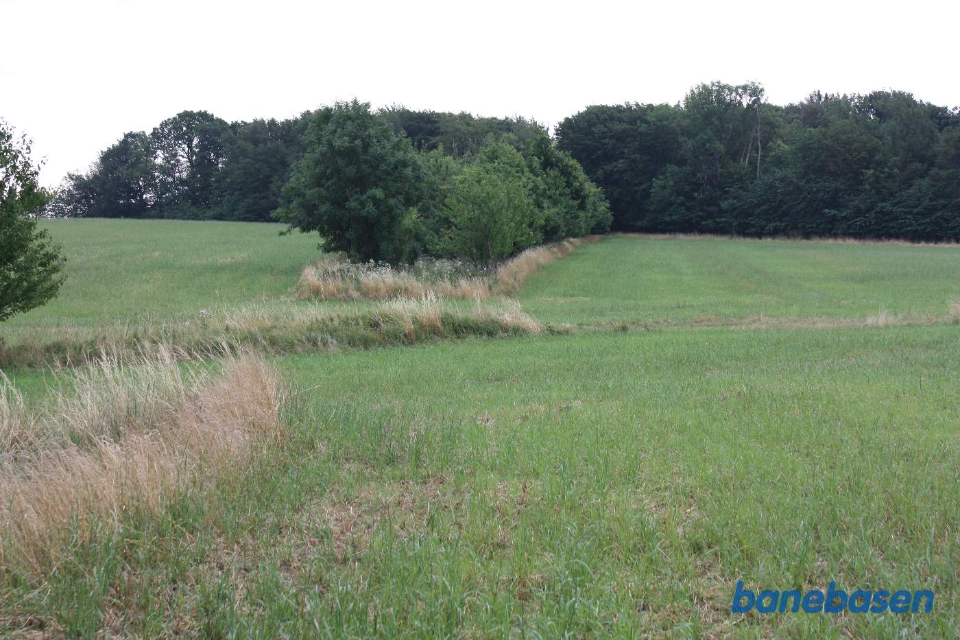 Vi er kommet ud på marken og står på banetracéen og kigger mod Aakirkeby. Banen løb i udgravningen, hvor der nu er træer, og ind i skoven Vi er kommet ud på marken og står på banetracéen og kigger mod Aakirkeby. Banen løb i udgravningen, hvor der nu er træer, og ind i skoven
