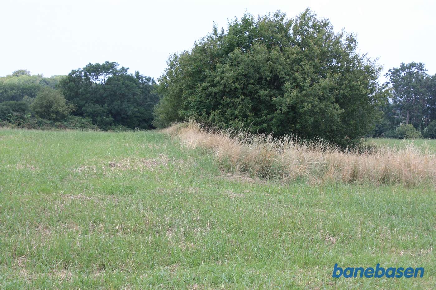 Vi er kommet ud på marken og står på banetracéen og kigger mod Gudhjem. Banen løb i udgravningen, hvor der nu er træer Vi er kommet ud på marken og står på banetracéen og kigger mod Gudhjem. Banen løb i udgravningen, hvor der nu er træer