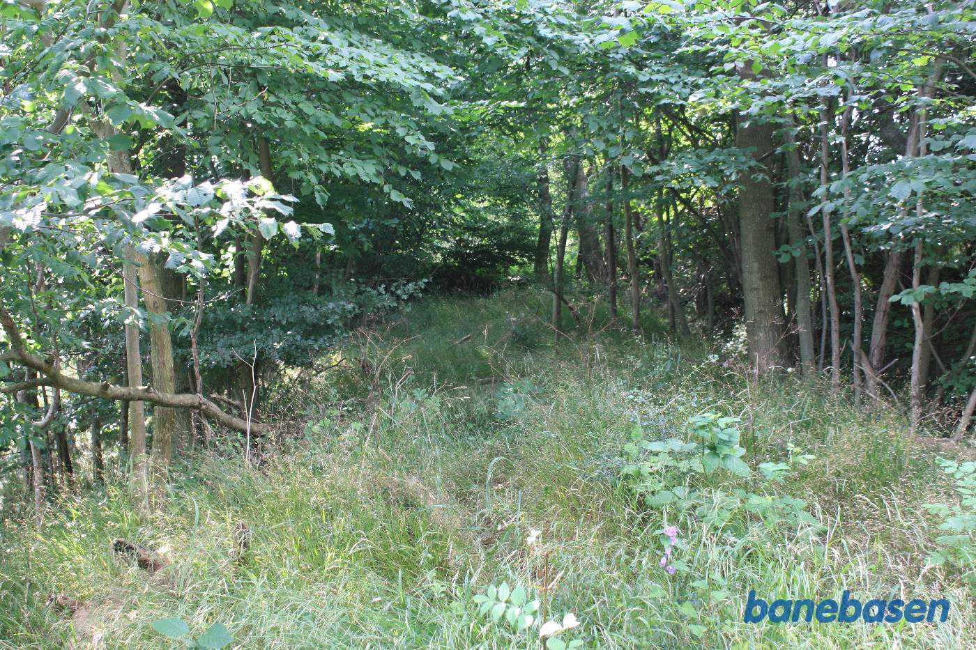 Vi står på banetracéen og kigger mod Aakirkeby