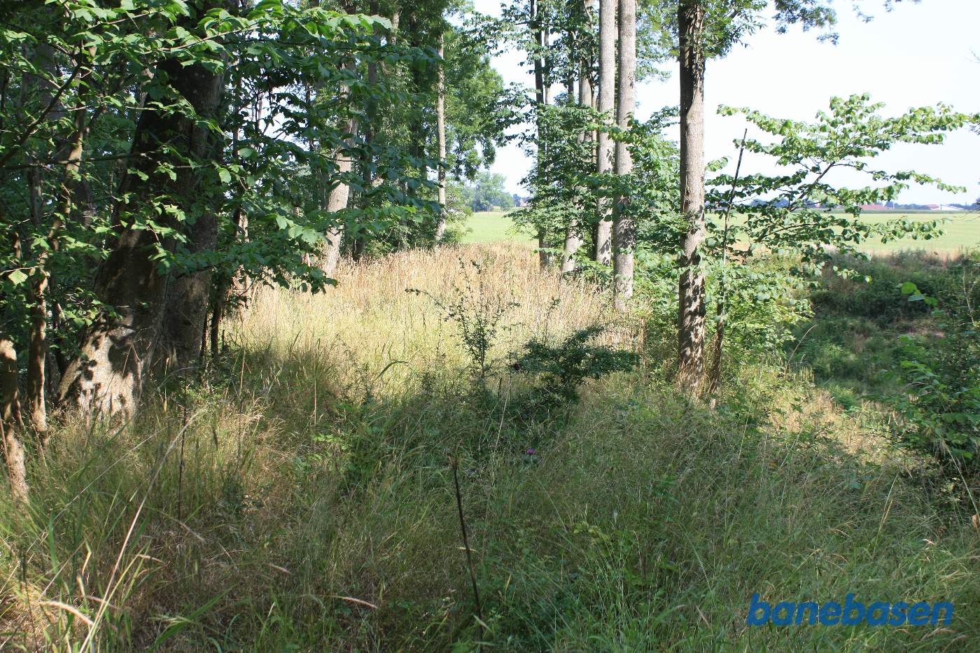 Vi står på banetracéen og kigger mod Gudhjem. Vi kan se Gudhjem ude til højre, Melsted å kommer få meter længere fremme
