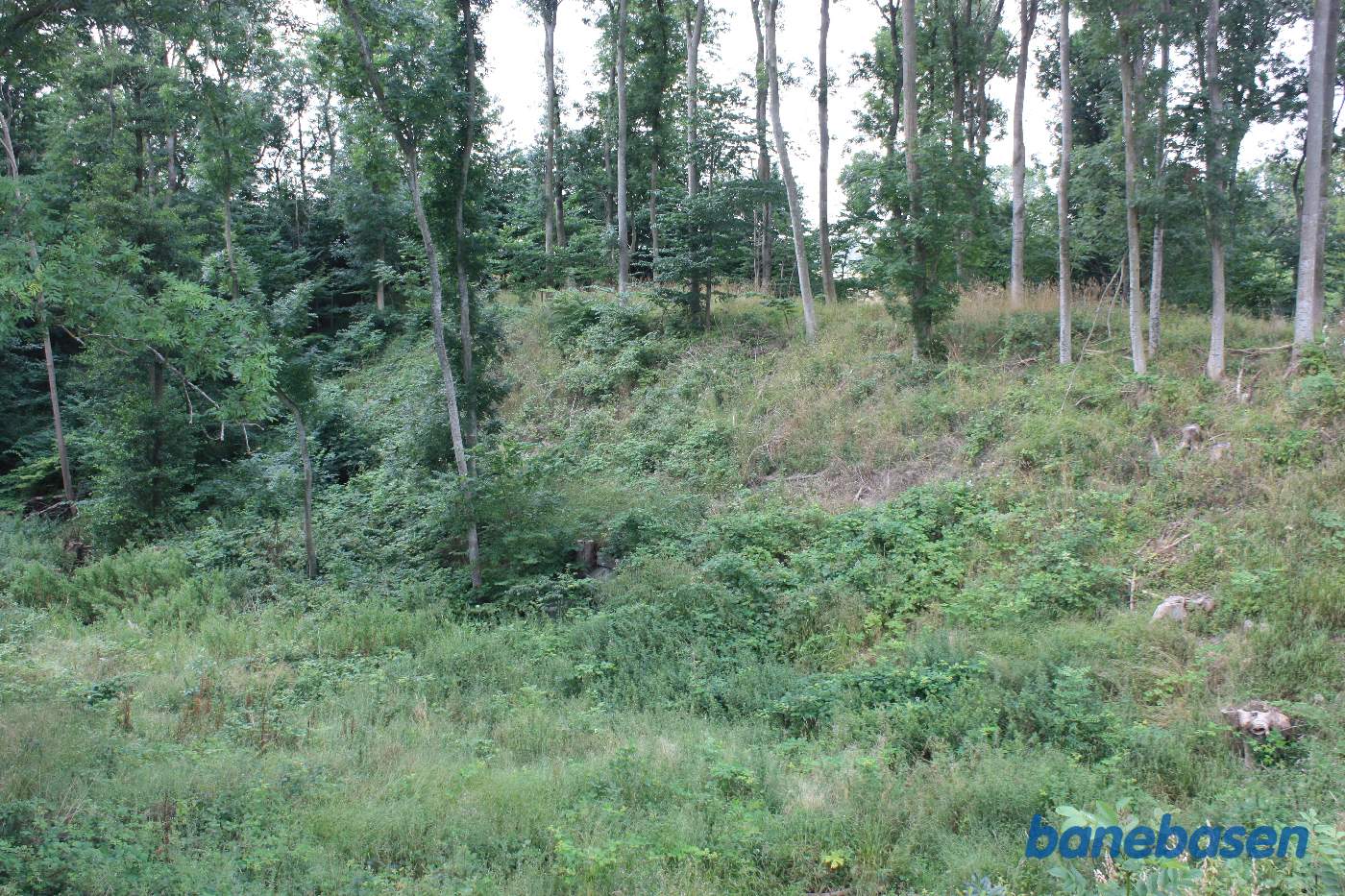 Vi kigger på den høje banedæmning over Melsted å, tunnelen under banedæmningen kan ses midt i billedet