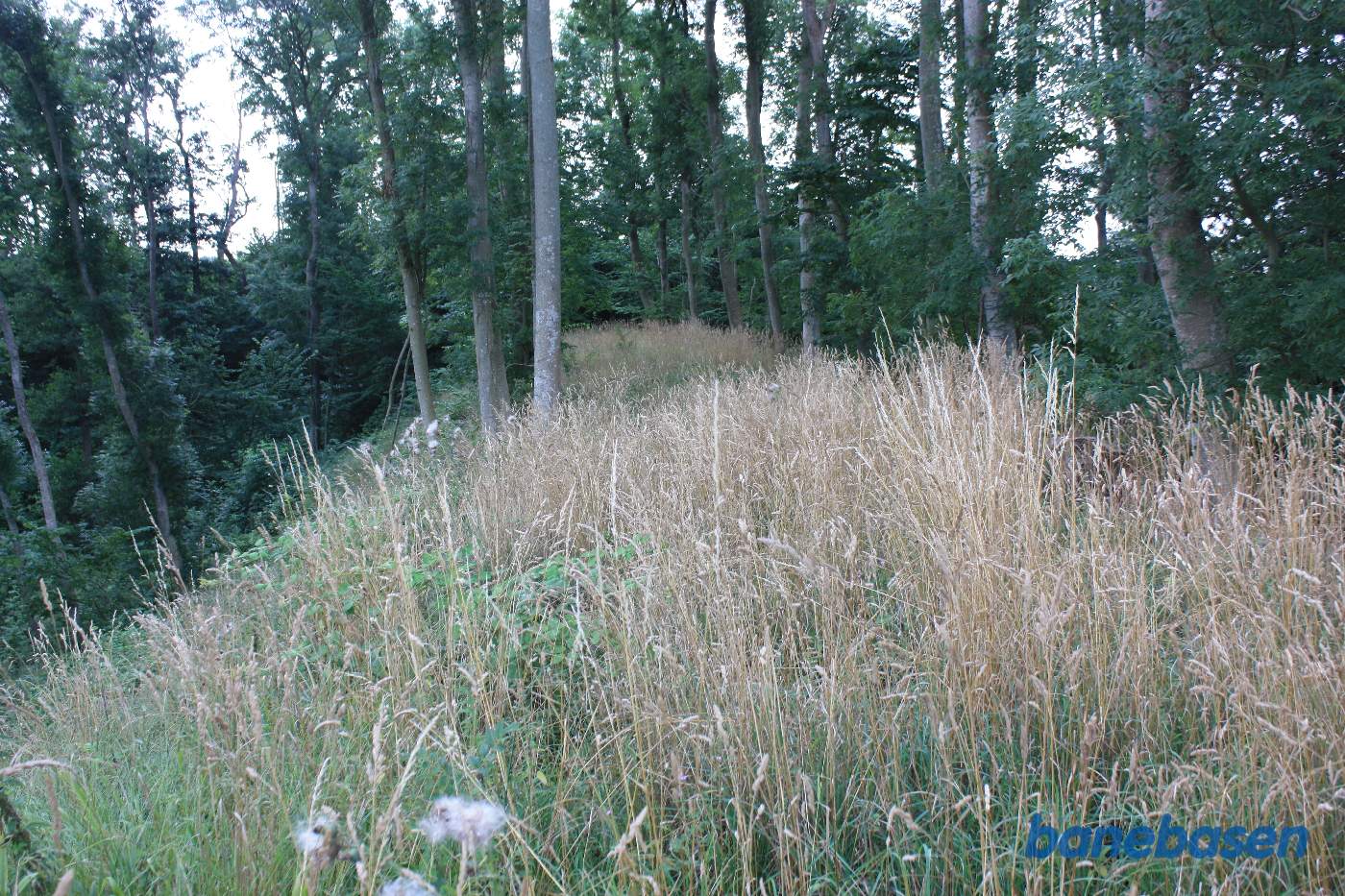 Vi står på banetracéen oven på Melsted å og kigger mod Aakirkeby