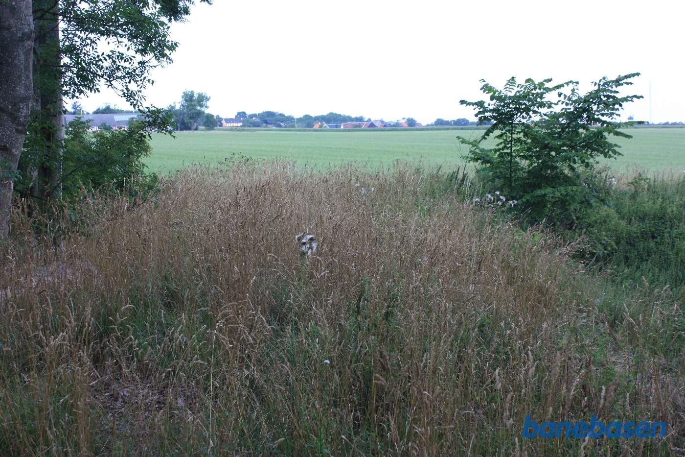 Vi står på banetracéen og kigger mod Gudhjem. Banen gik på en dæmning i en blød højre kurve ud over marken Vi står på banetracéen og kigger mod Gudhjem. Banen gik på en dæmning i en blød højre kurve ud over marken