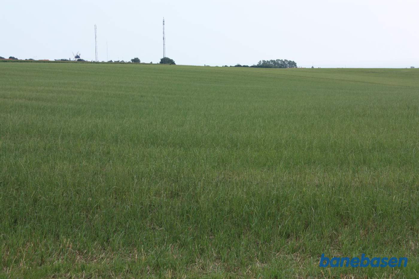 Vi står på banetracéen og kigger mod Gudhjem. Banen løb ud over marken på en banedæmning først i en blød højre kurve og derefter en venstre kurve og lige ind på Gudhjem station