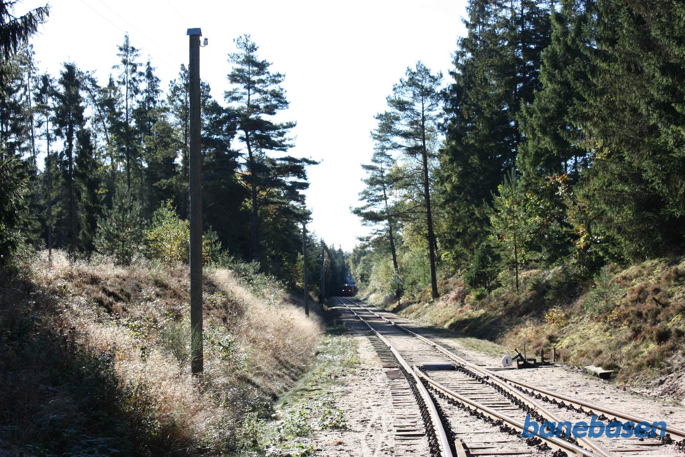 Vi står i indkørselsenden og ser et persontog nærme sig