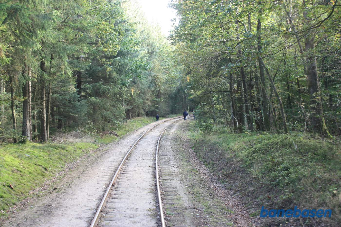 Vi er ude på strækningen i den store kurve i skoven lige efter Vrads Vi er ude på strækningen i den store kurve i skoven lige efter Vrads