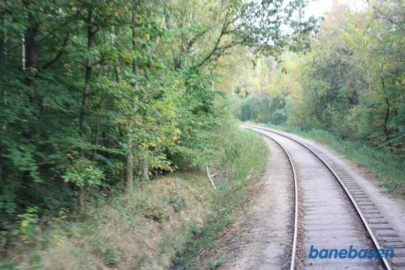 Vi er ude på strækningen i den store kurve i skoven