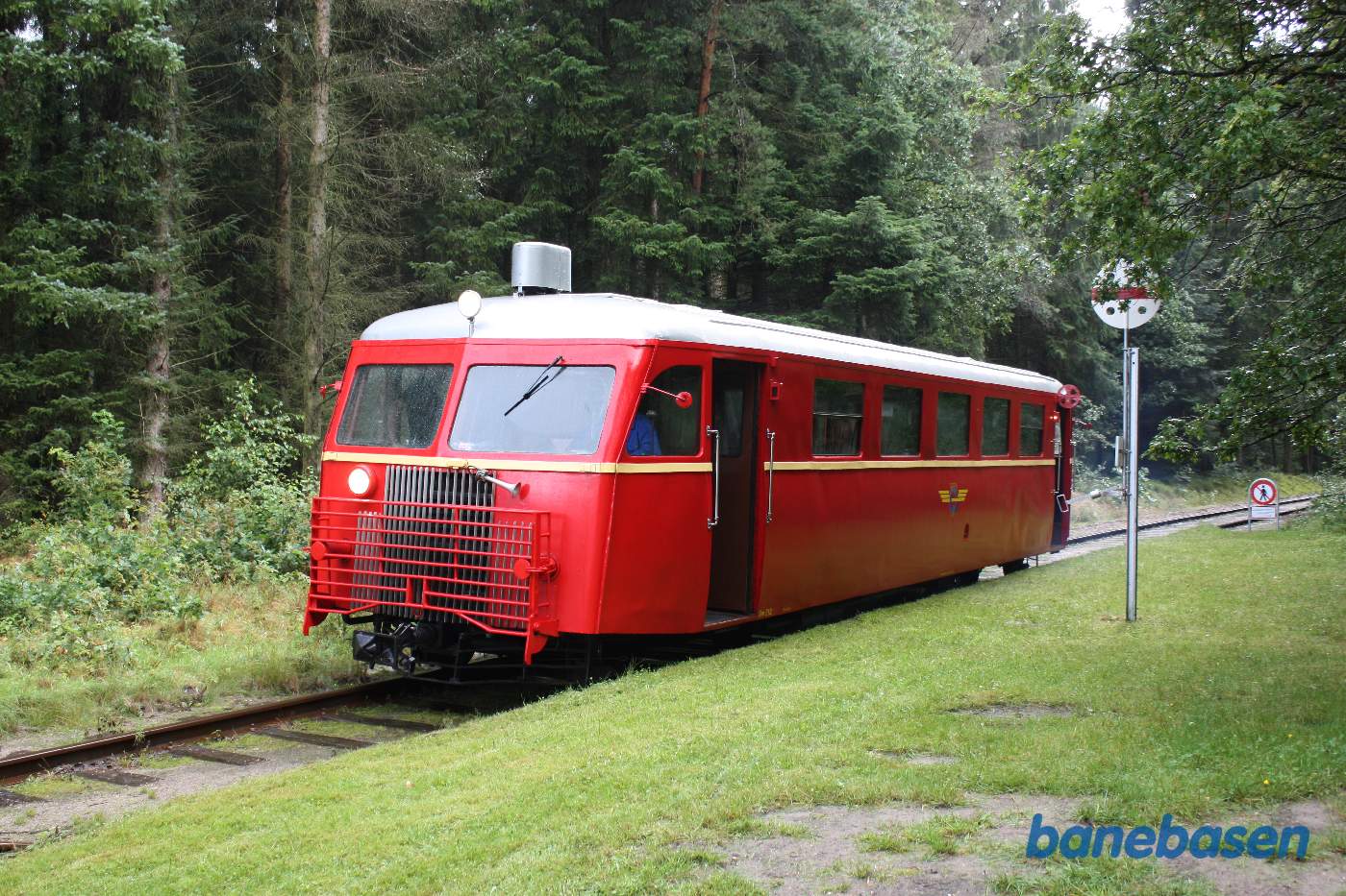 Fotostop ved trinbræt i skoven Fotostop ved trinbræt i skoven