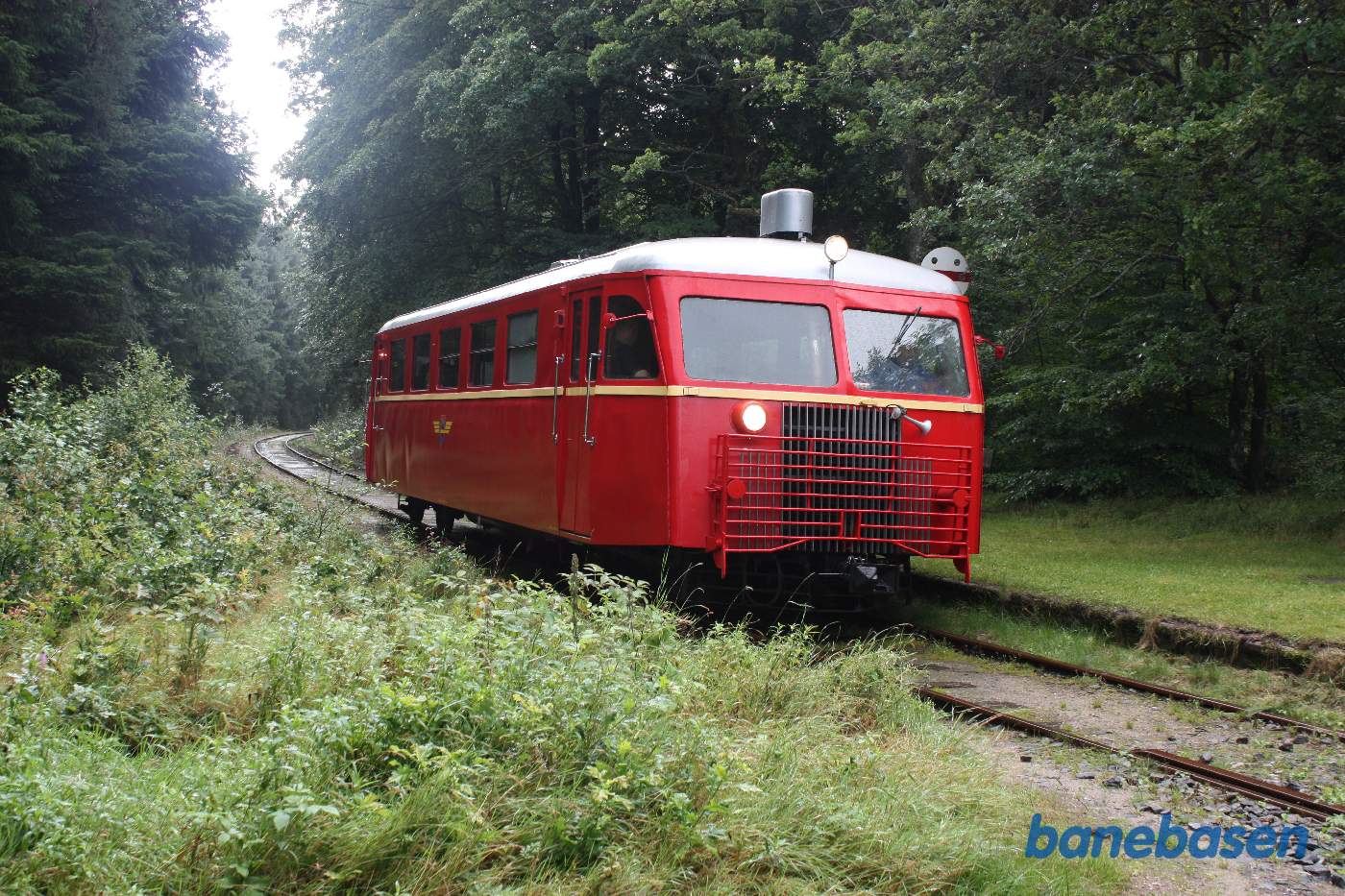 Fotostop ved trinbræt i skoven