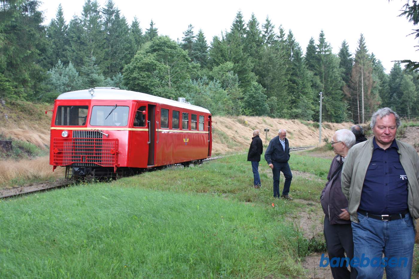 Fotostop ved et trinbræt i skoven Fotostop ved et trinbræt i skoven