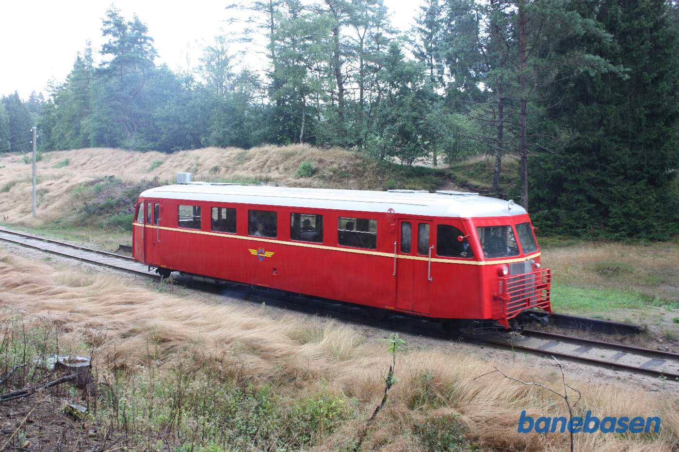 Fotostop ved et trinbræt i skoven Fotostop ved et trinbræt i skoven