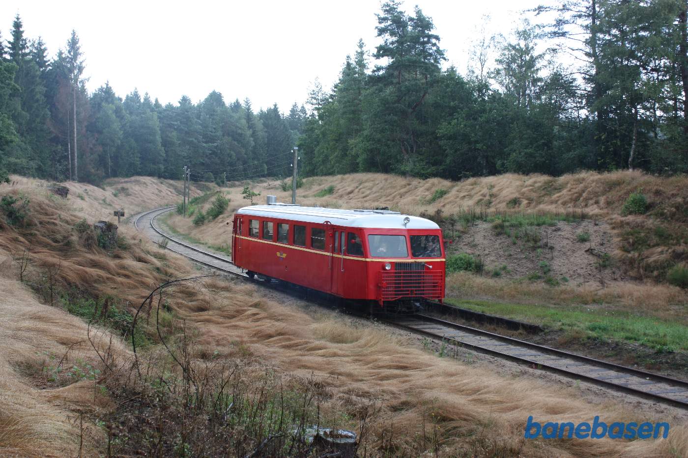 Fotostop ved et trinbræt i skoven