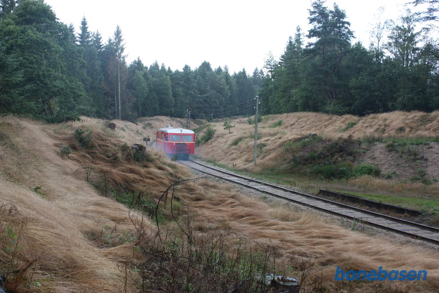 Fotostop ved et trinbræt i skoven Fotostop ved et trinbræt i skoven