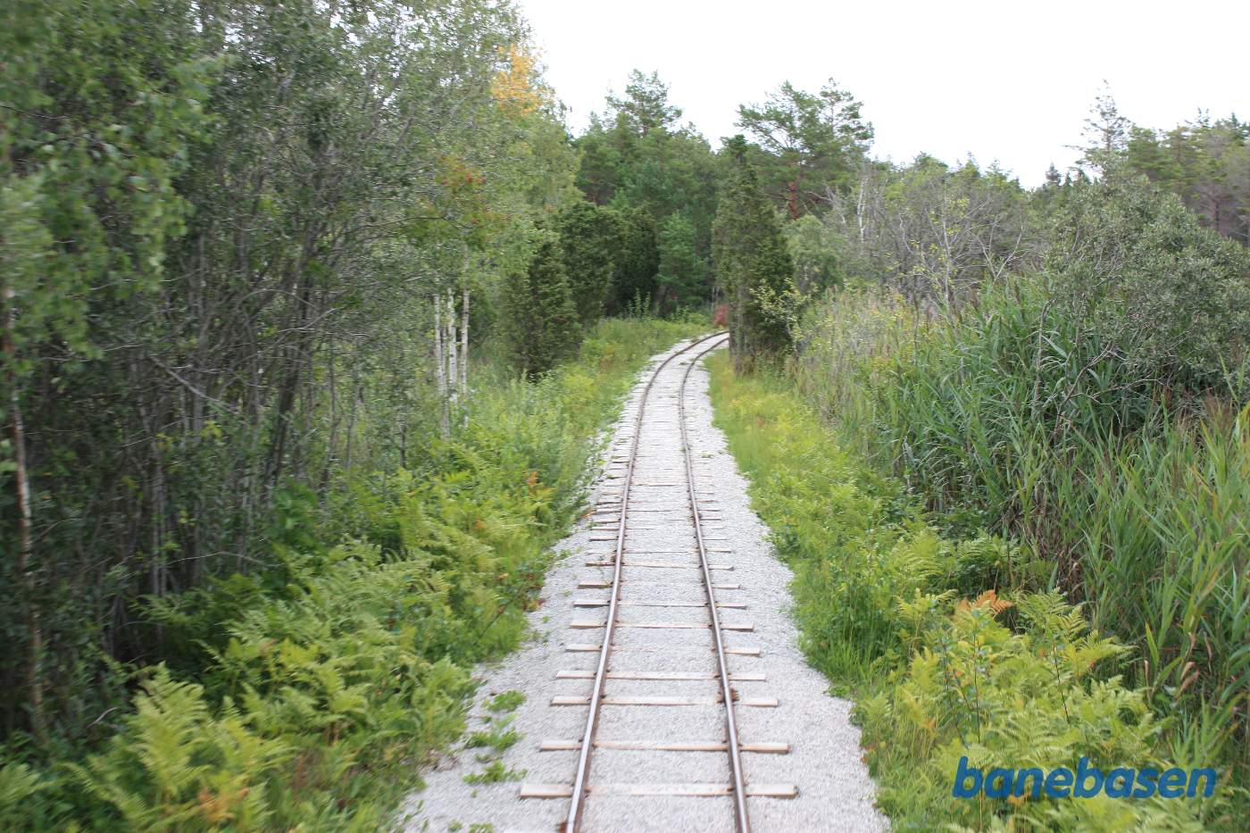 Et bagskud ud langs banen