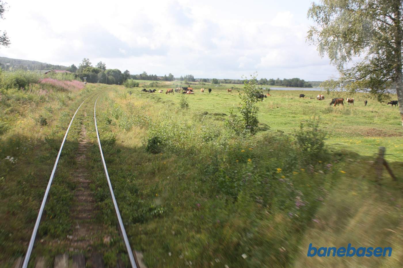 Vi har forladt Mora og er et sted på strækningen mellem Mora og Orsa