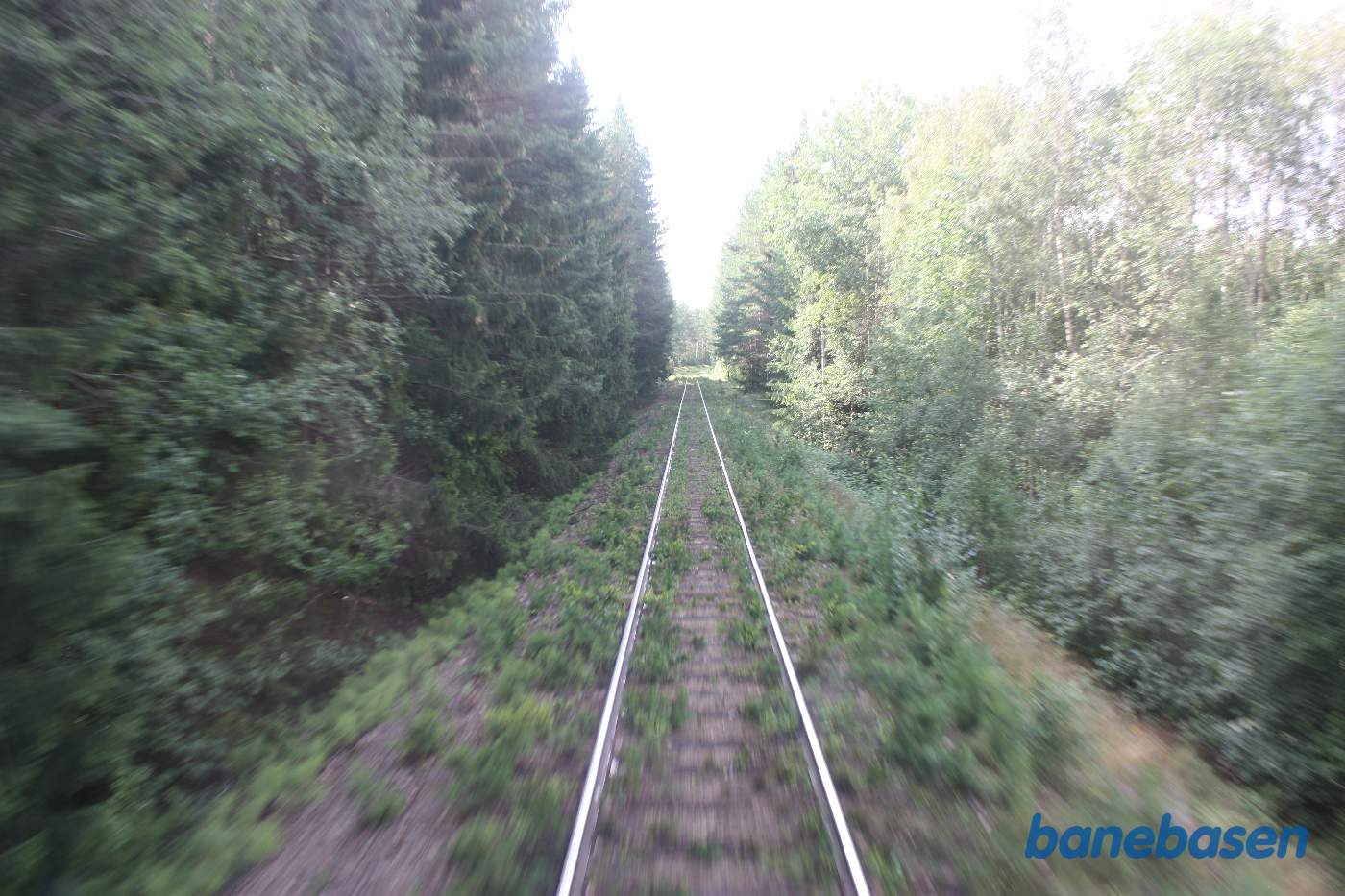 Vi er et sted på strækningen mellem Orsa og jernbanebroen over Ämån elven