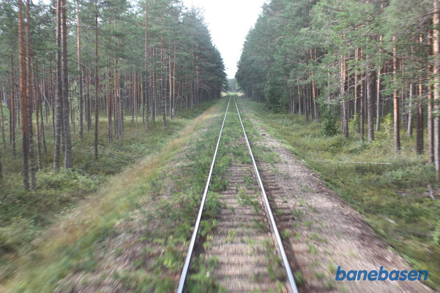 Vi er et sted på strækningen mellem Orsa og jernbanebroen over Ämån elven