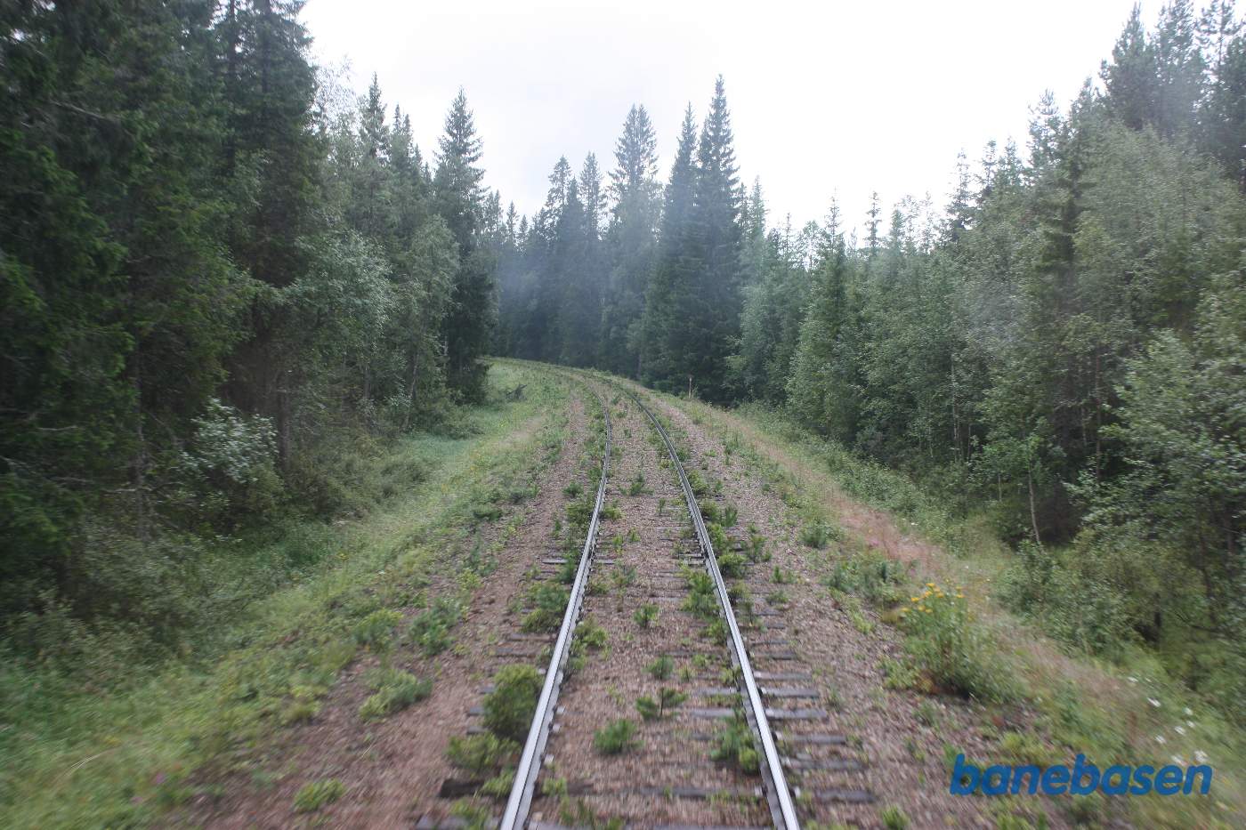 Vi er et sted på strækningen mellem jernbanebroen over Ämån elven og Tandsjöborg