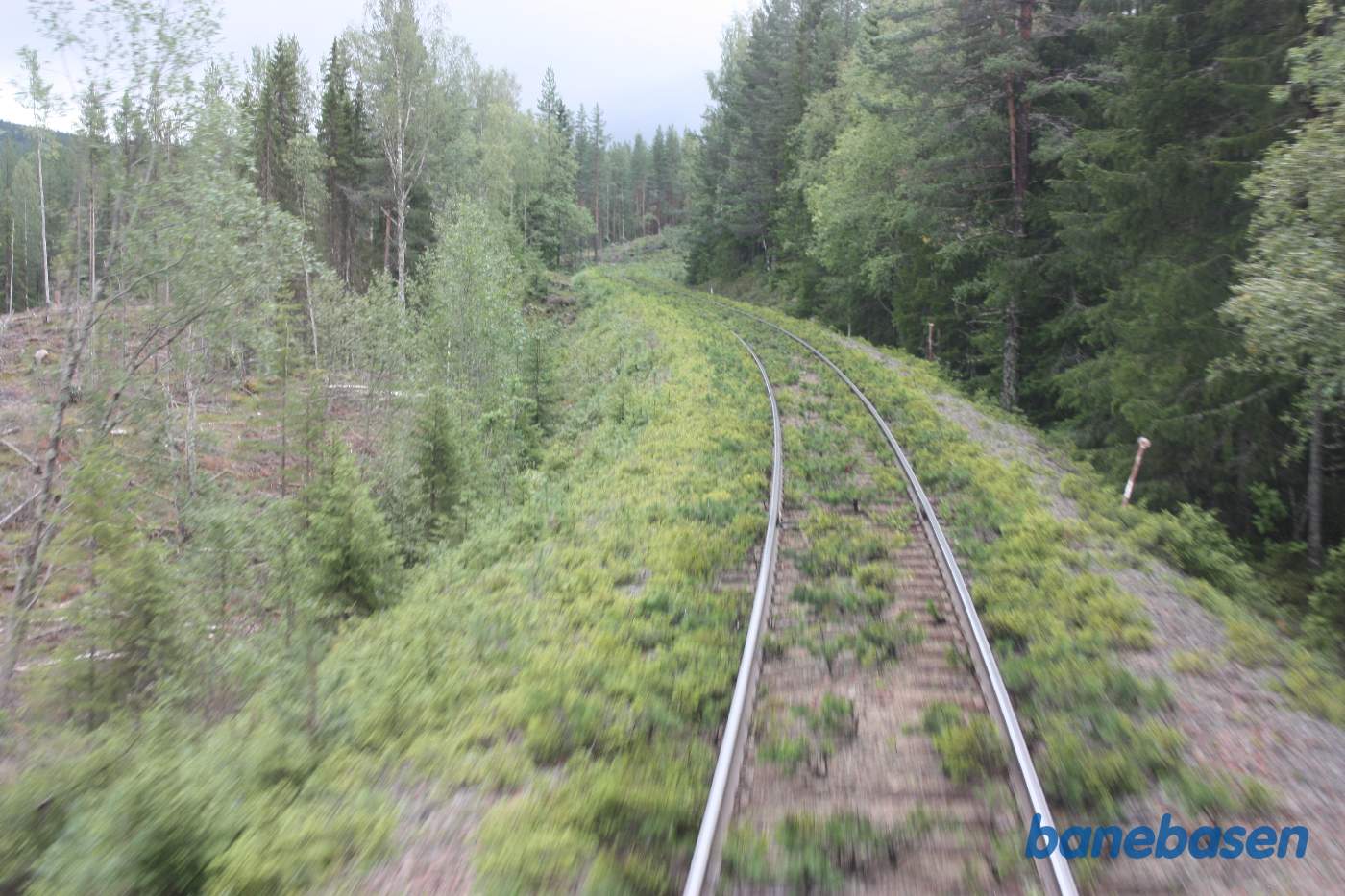 Vi er et sted på strækningen mellem jernbanebroen over Ämån elven og Tandsjöborg