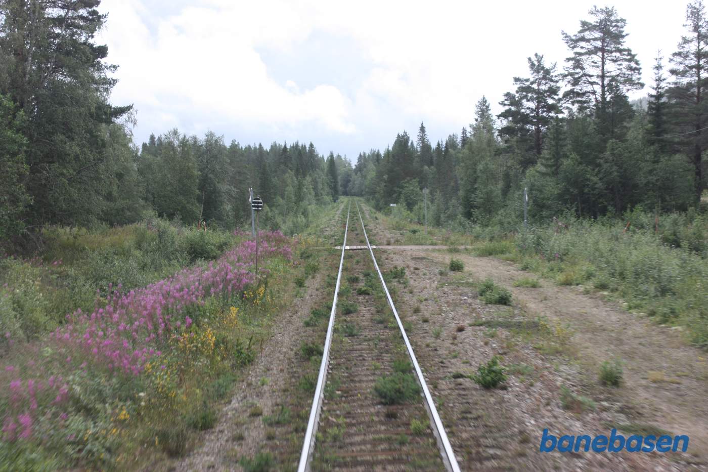 Vi er et sted på strækningen mellem Lillhamra og Tandsjöborg
