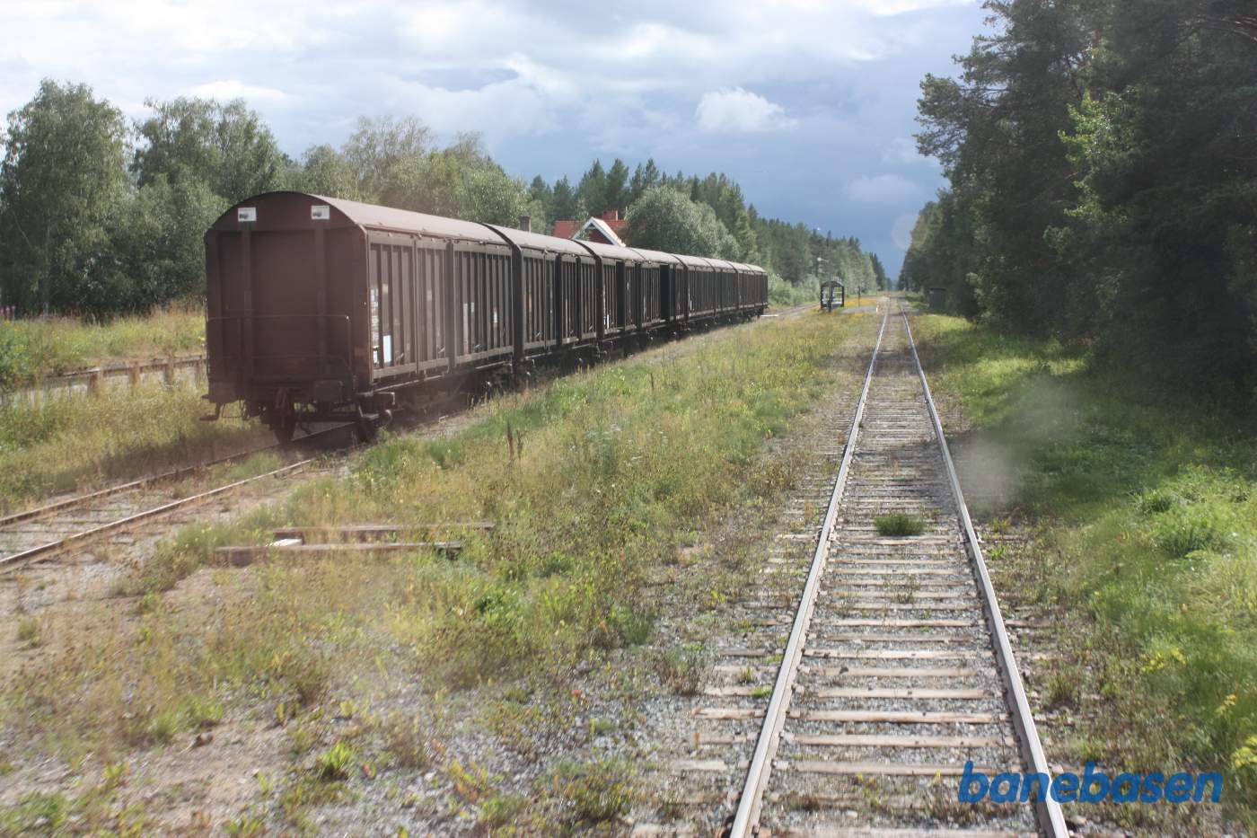 Et bagskud mens toget suser gennem Fåker station, en række godsvogne i sidesporet inde til venstre