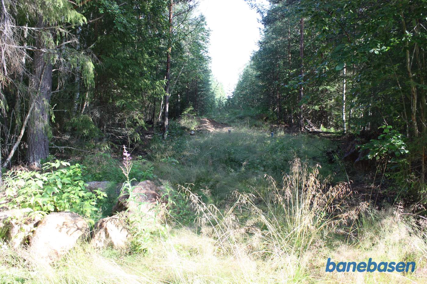 Vi kigger ud langs strækningen, hvor hovedsporet engang gik