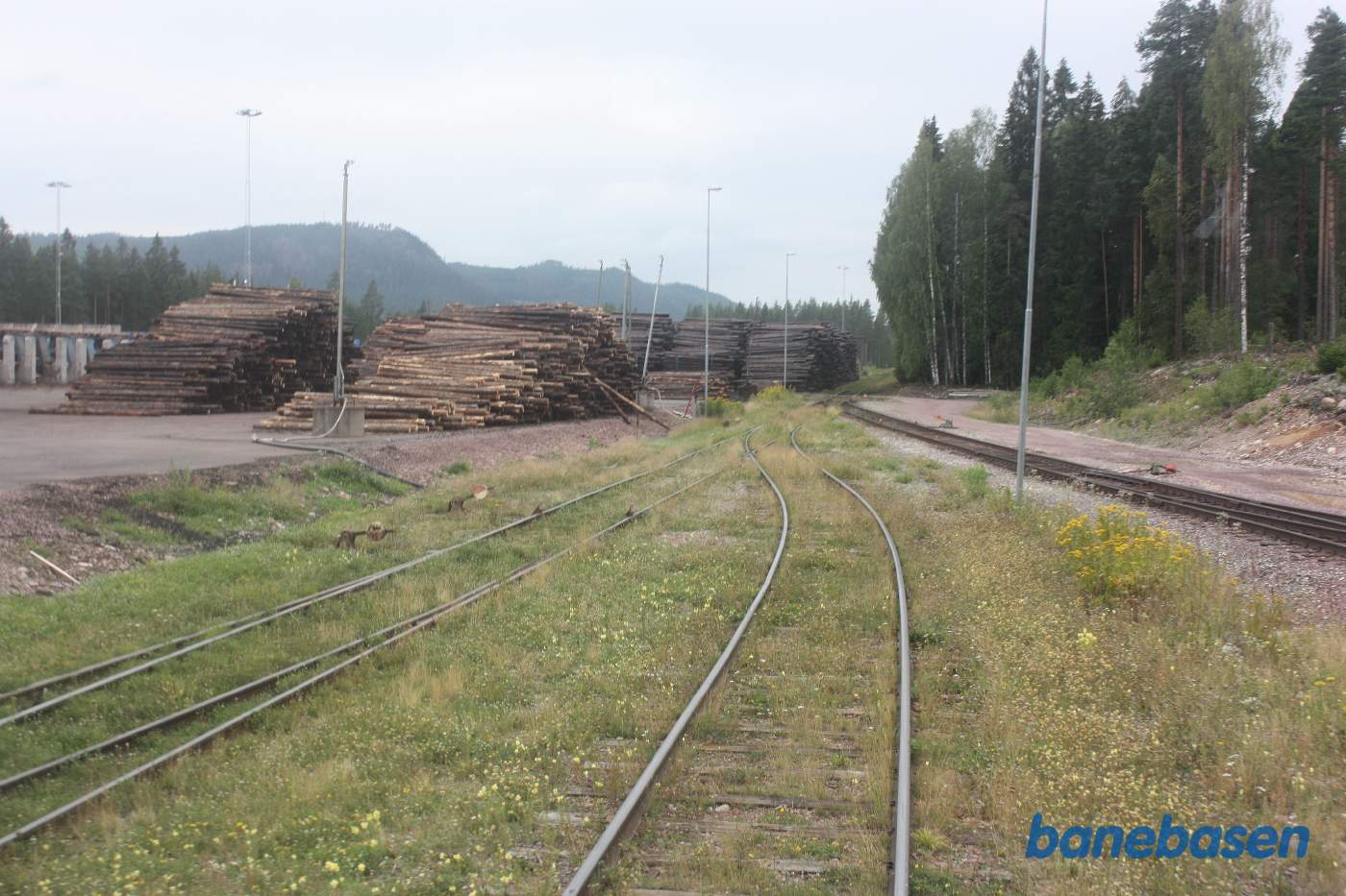 Vi er kommet til en meget stor tømmerplads, hvor der læsses tømmerstokke på godsvogne. Banen fortsatte i sin tid til Älvdalen, men slutter lige efter tømmerpladsen