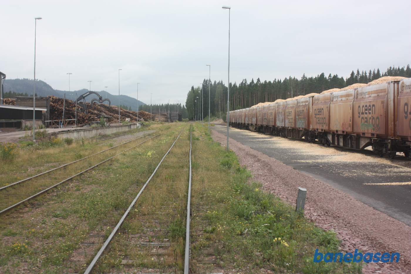 På pladsen er også et savværk og godsvognene til højre er læsset med høvlspåner og savsmuld