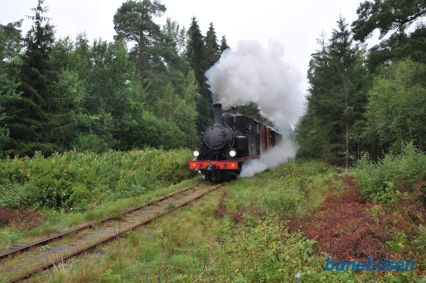 Fotostop et sted i skoven, damplokomotivet kommer brusende frem
