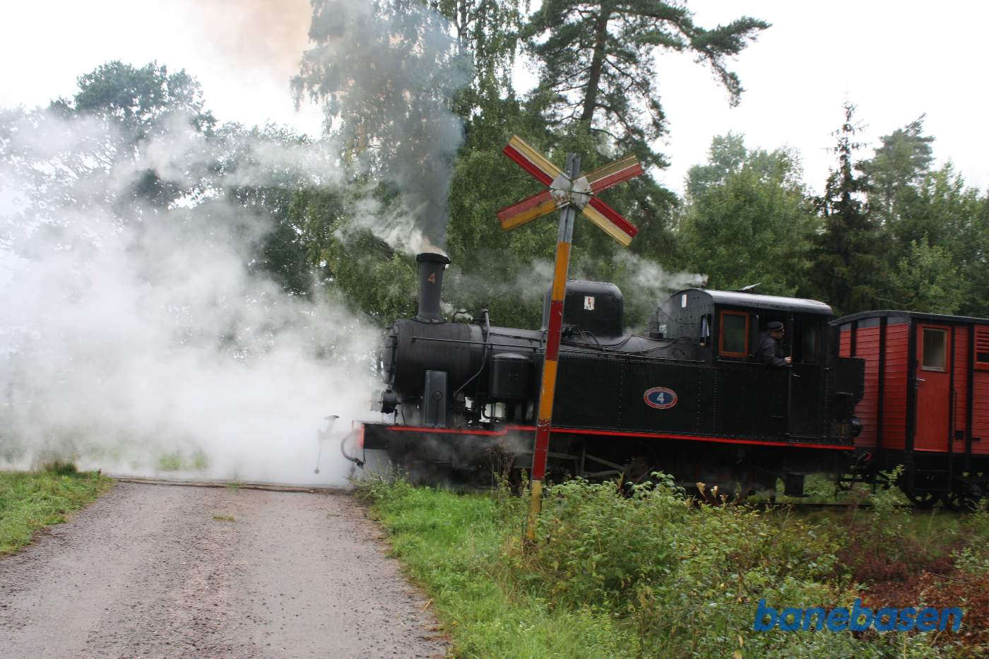 Fotostop et sted i skoven, damplokomotivet kommer brusende ud over vejen