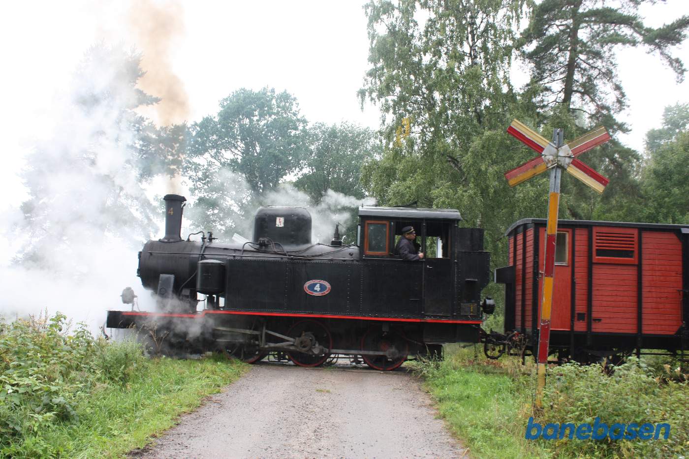 Fotostop et sted i skoven, damplokomotivet kommer brusende ud over vejen