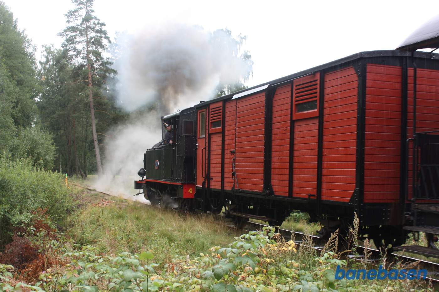 Fotostop et sted i skoven, damplokomotivet fortsætter efter vejen